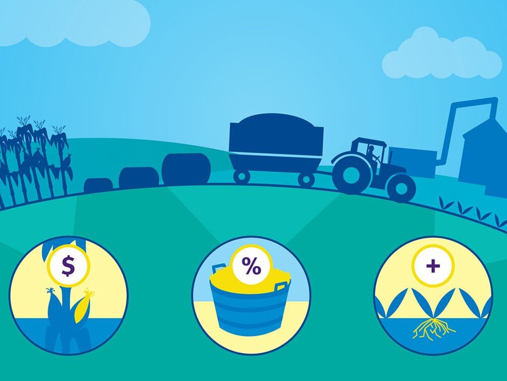 Example of design work featuring a custom illustration of a tractor pulling bales of hay from the field to the facility accompanied by three icons